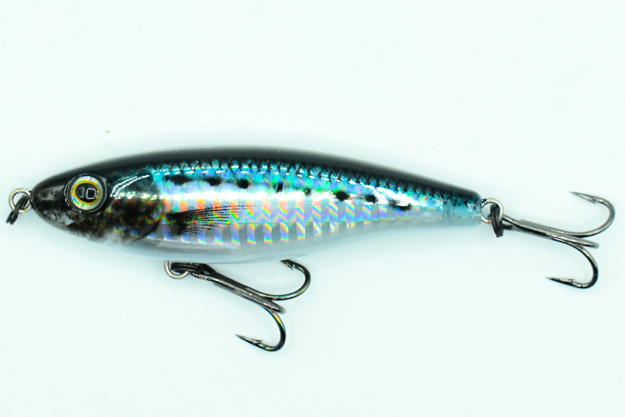 SHORE STAR 82 Aspius
