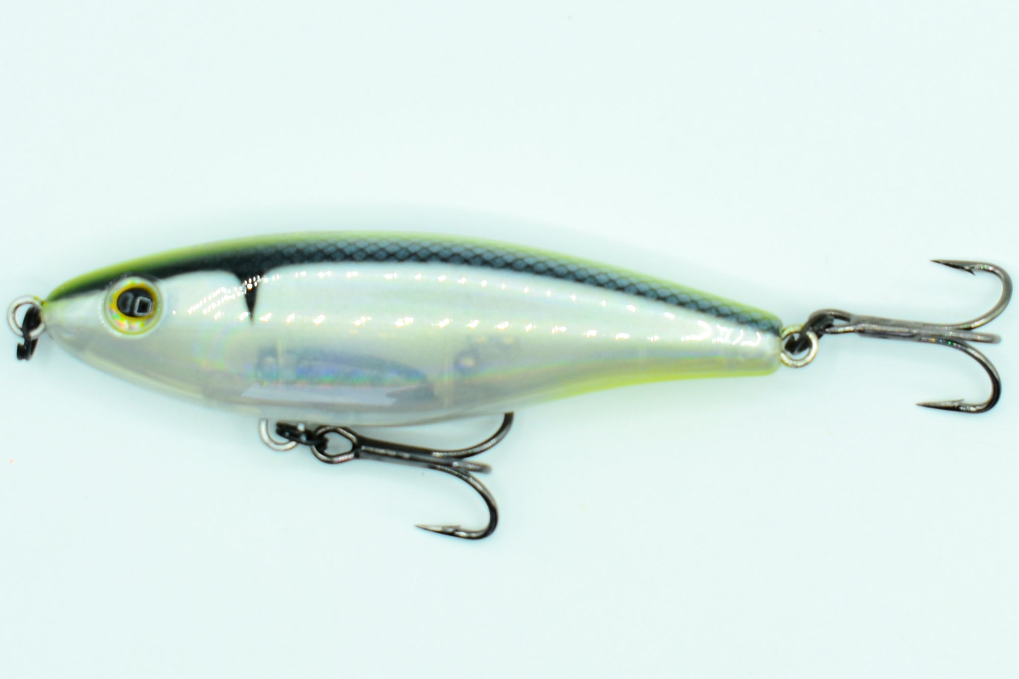 SHORE STAR 82 Aspius