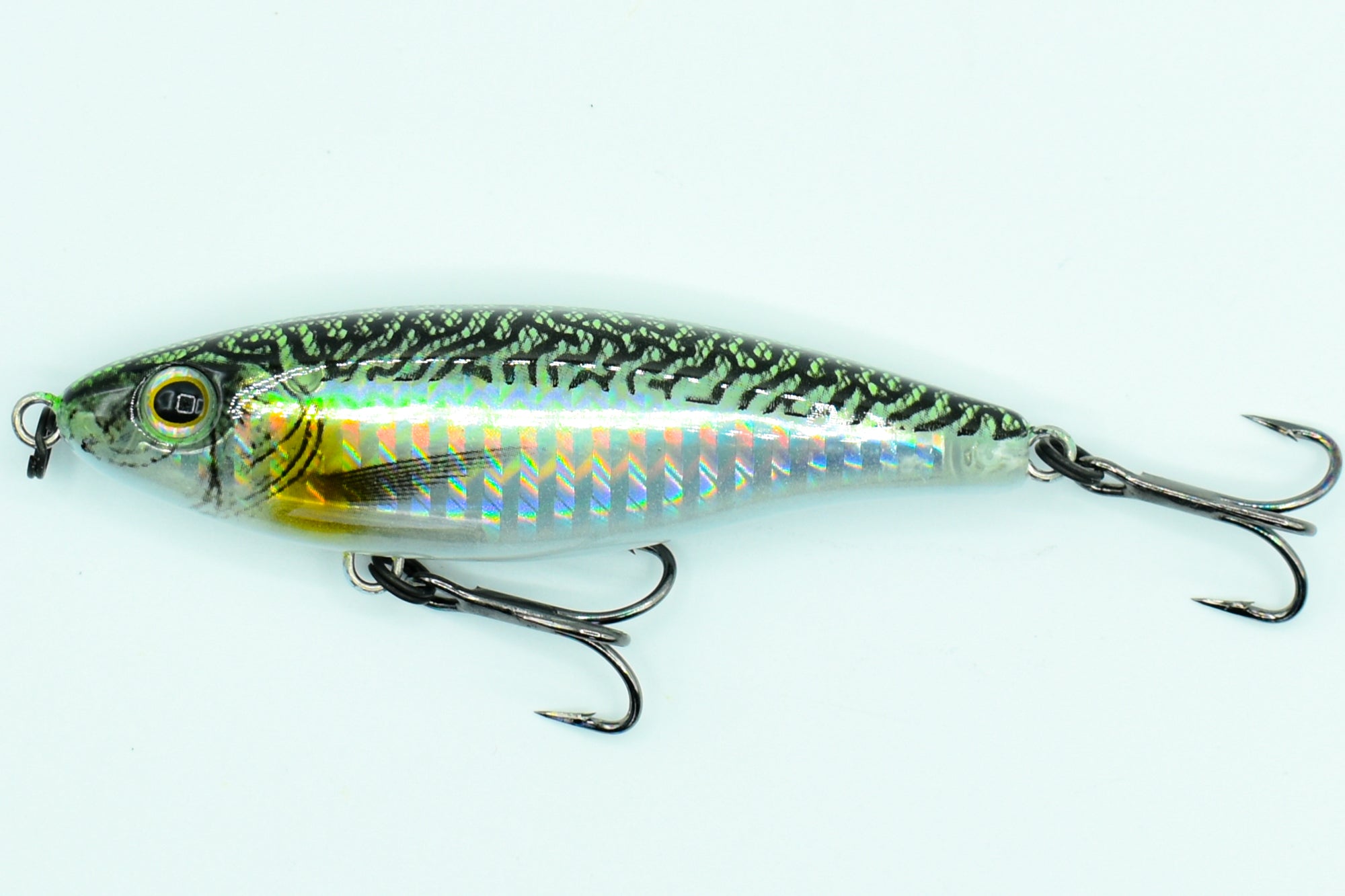 SHORE STAR 82 Aspius