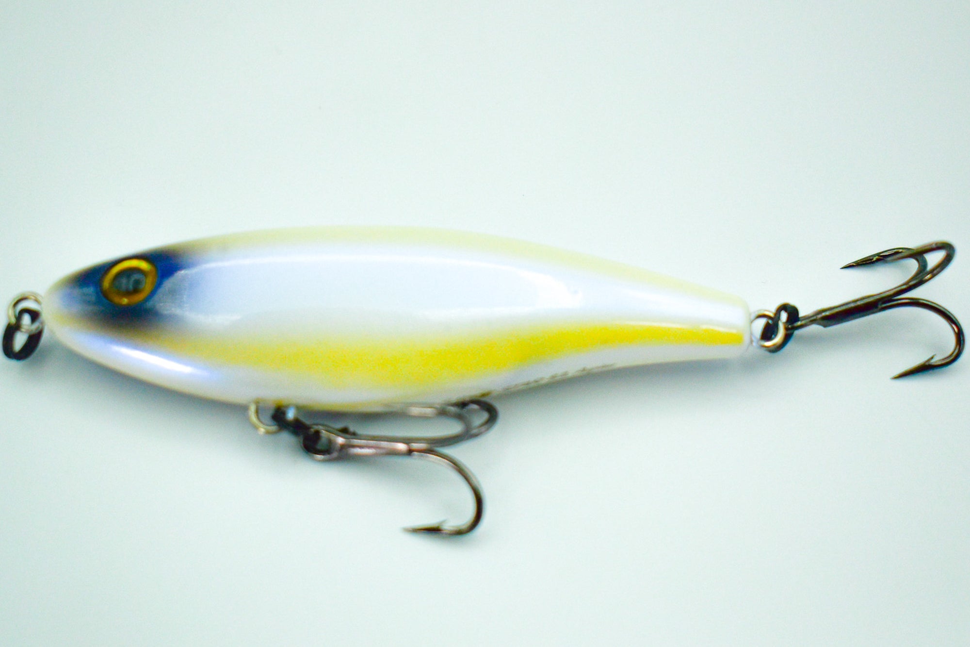 SHORE STAR 82 Aspius