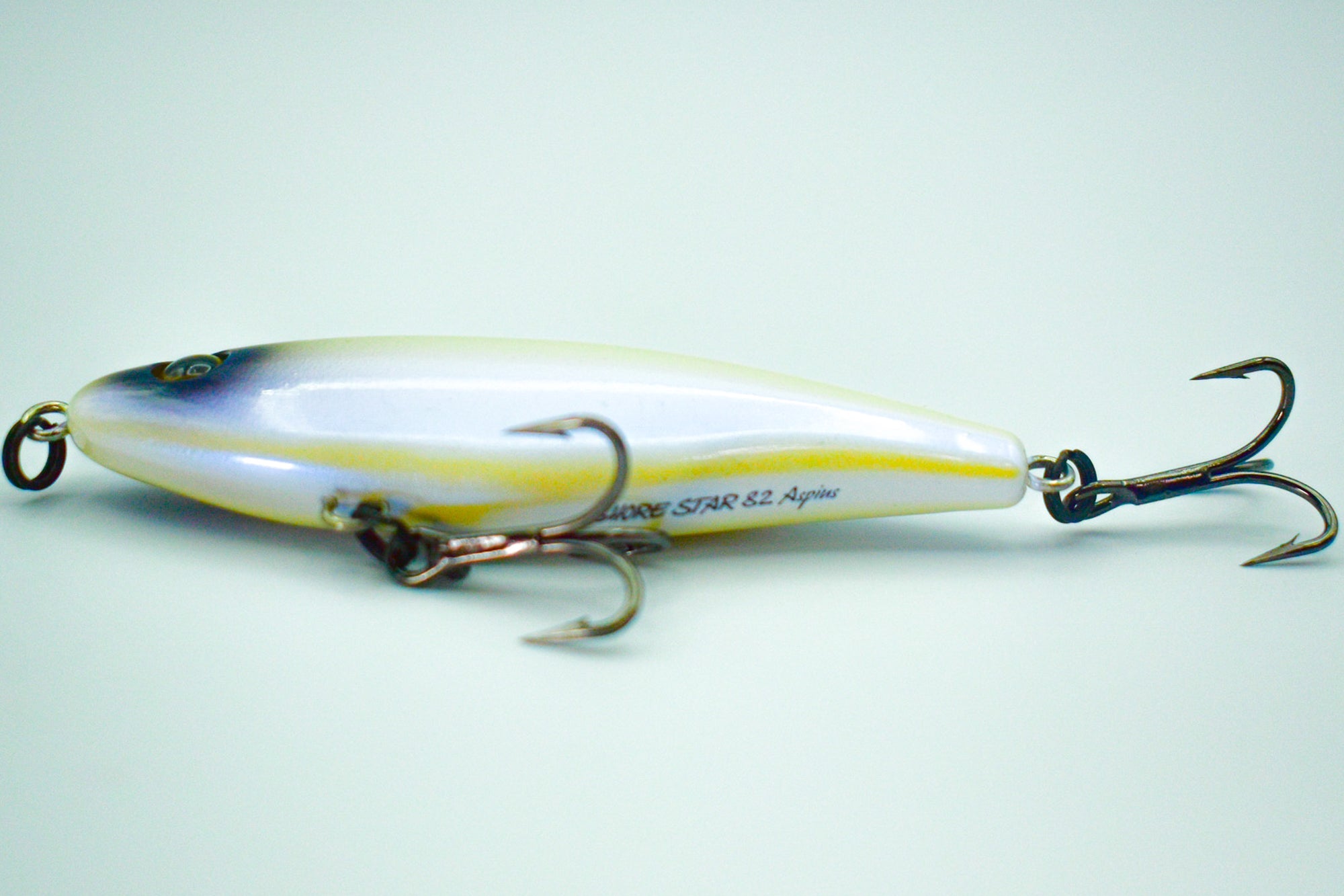 SHORE STAR 82 Aspius