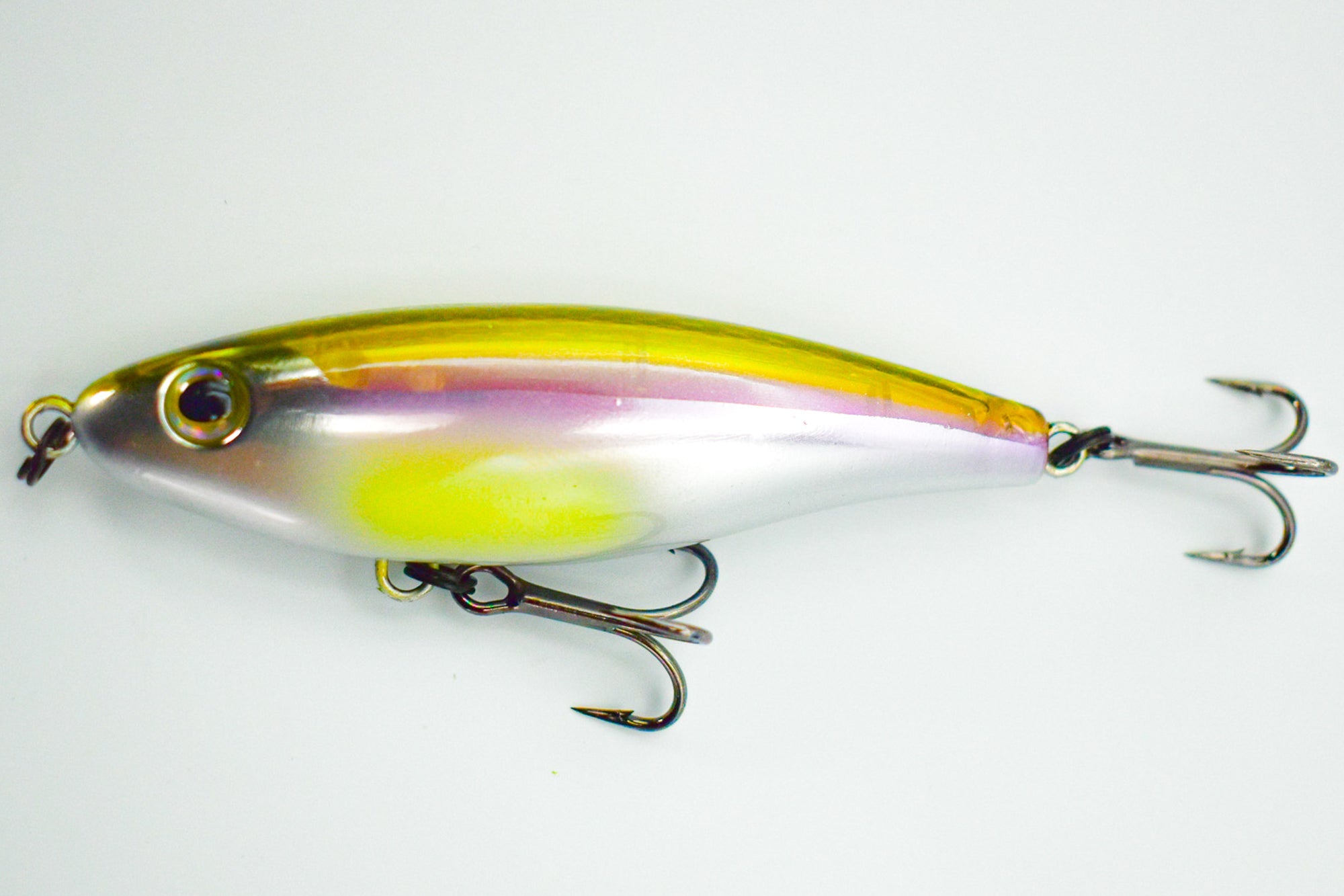 SHORE STAR 82 Aspius