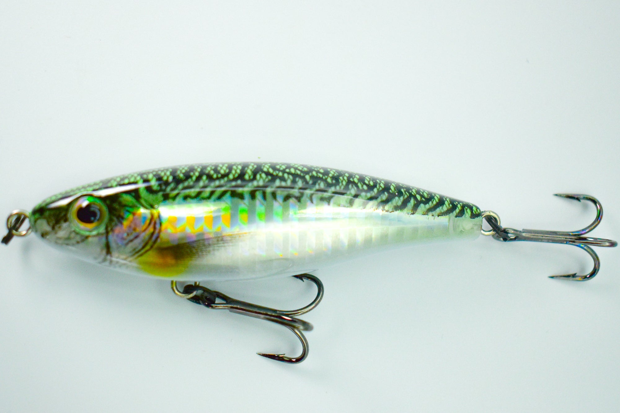 SHORE STAR 82 Aspius