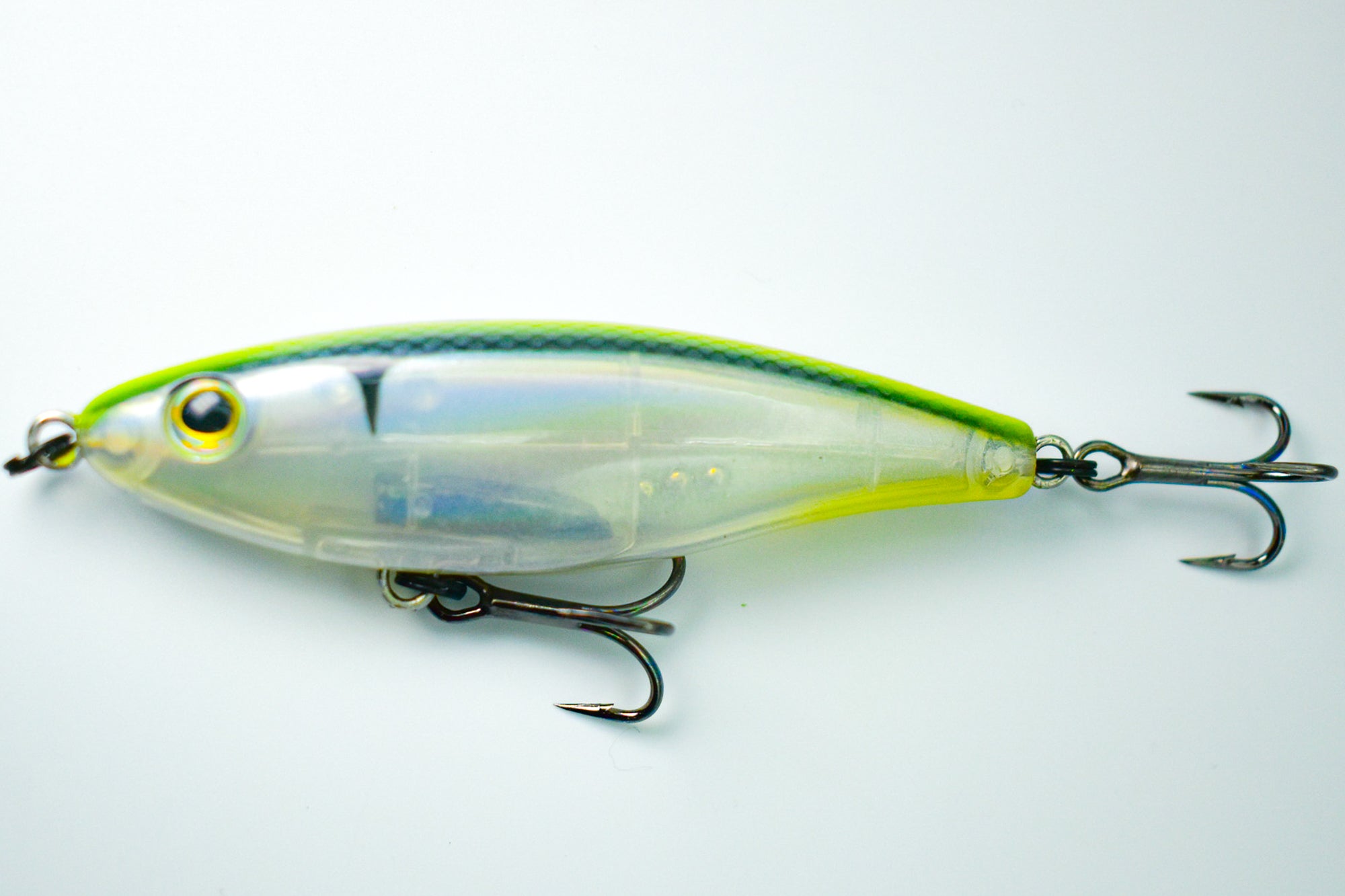 SHORE STAR 82 Aspius
