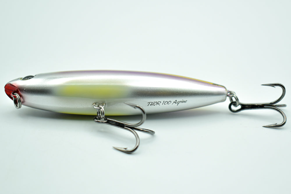 THOR 100 Aspius
