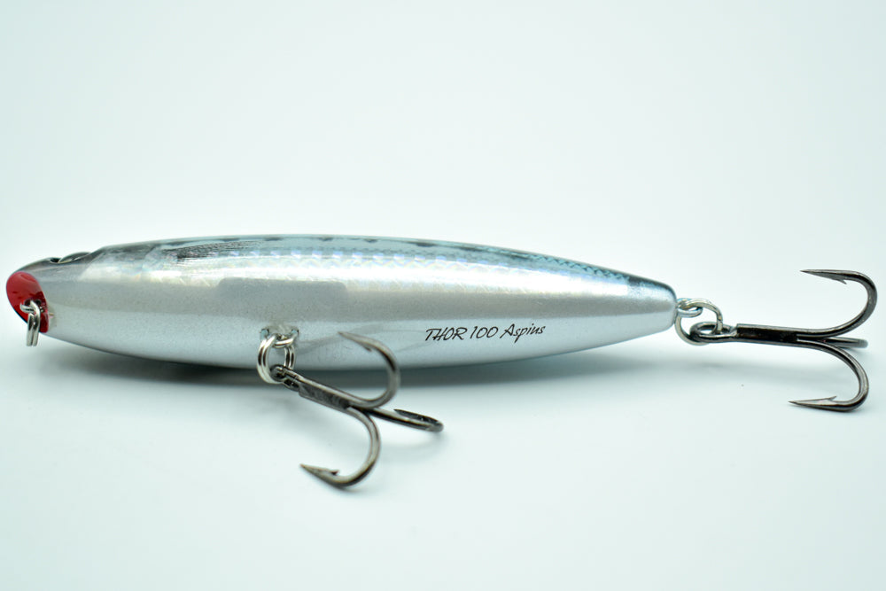 THOR 100 Aspius