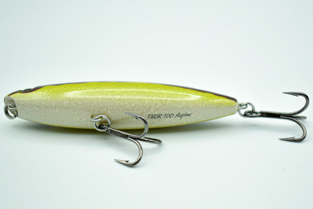 THOR 100 Aspius
