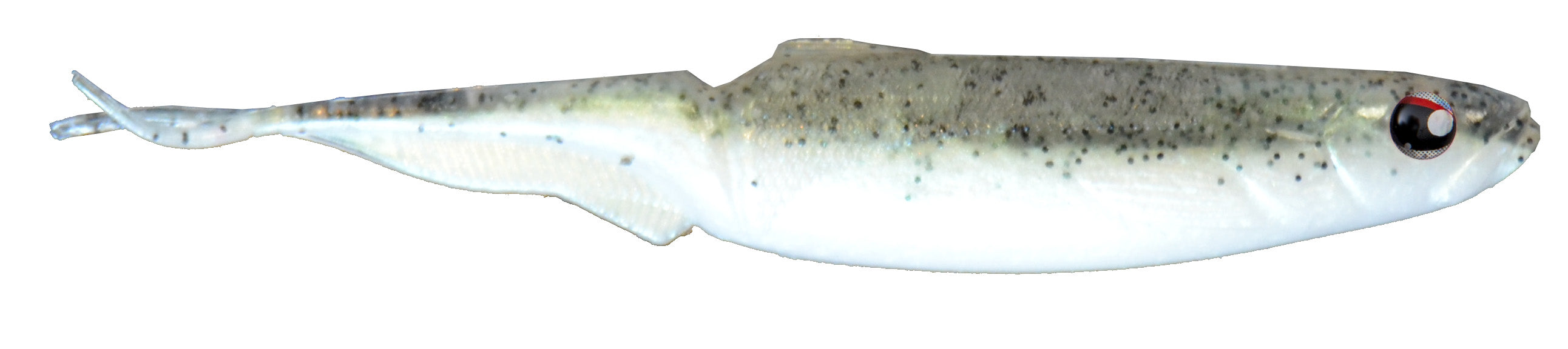 Talion Evo Finess 70 & 100