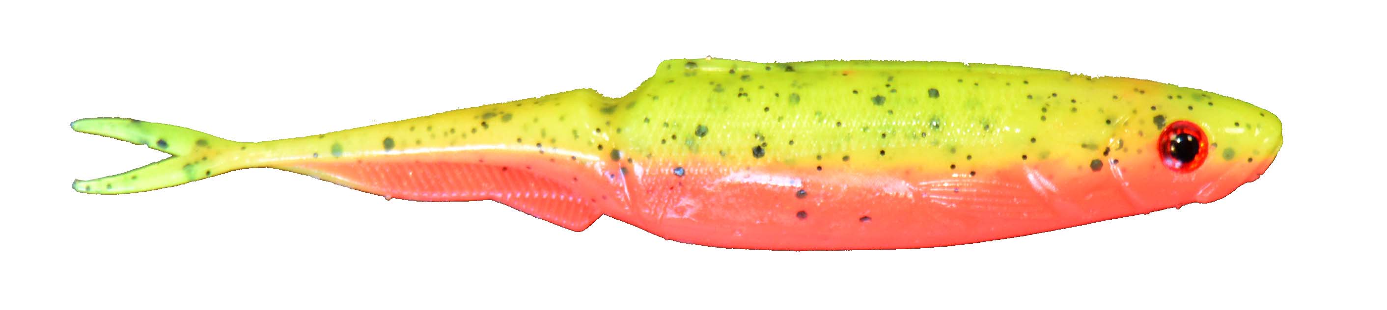 Talion Evo Finess 70 & 100