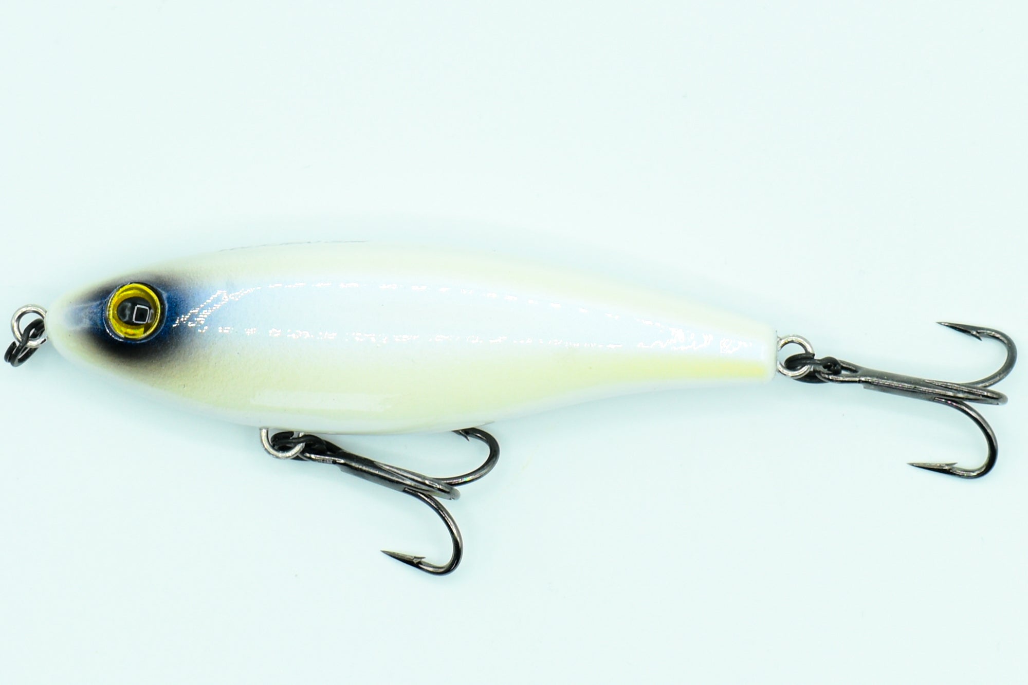 SHORE STAR 82 Aspius