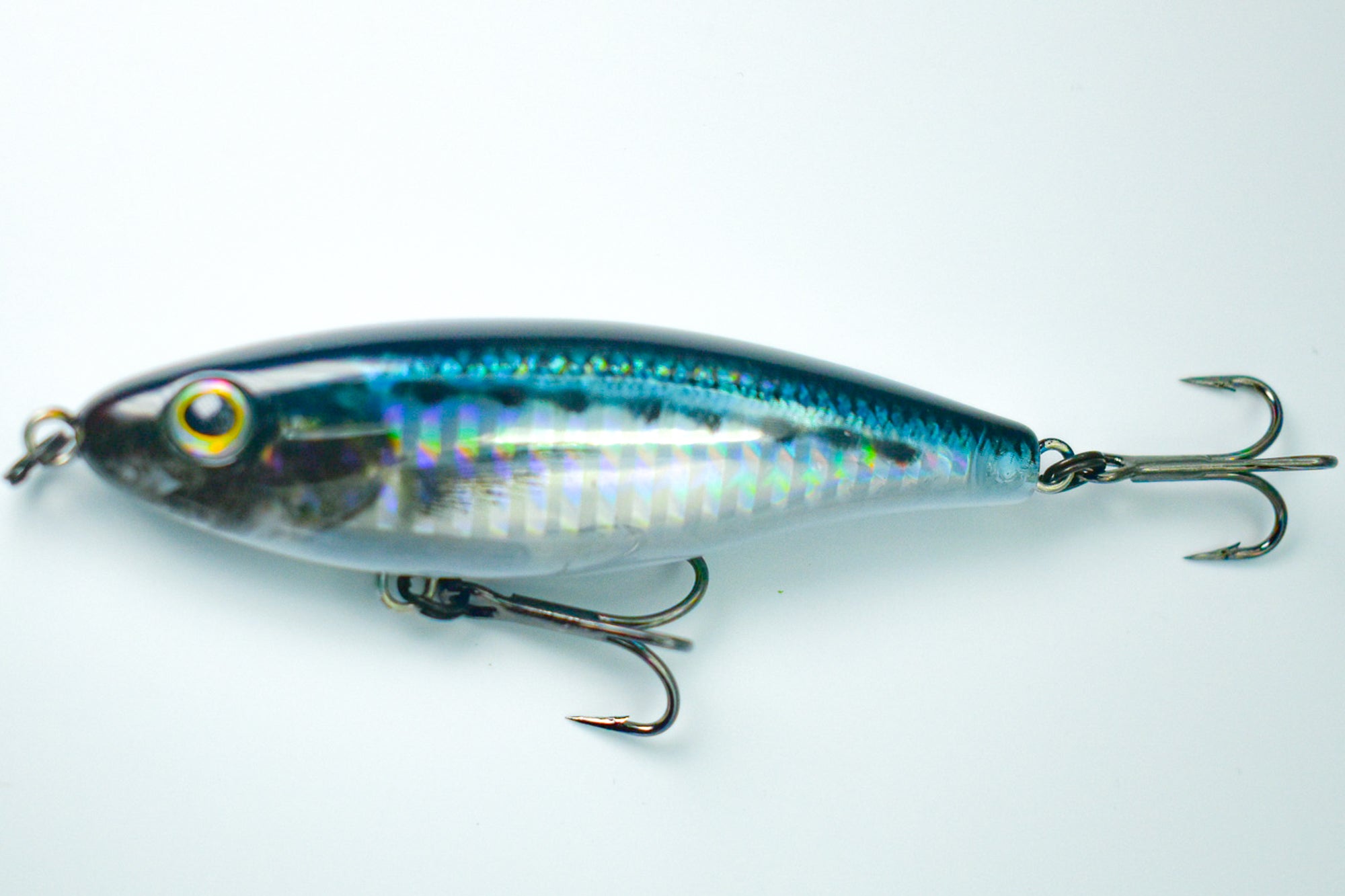 SHORE STAR 82 Aspius