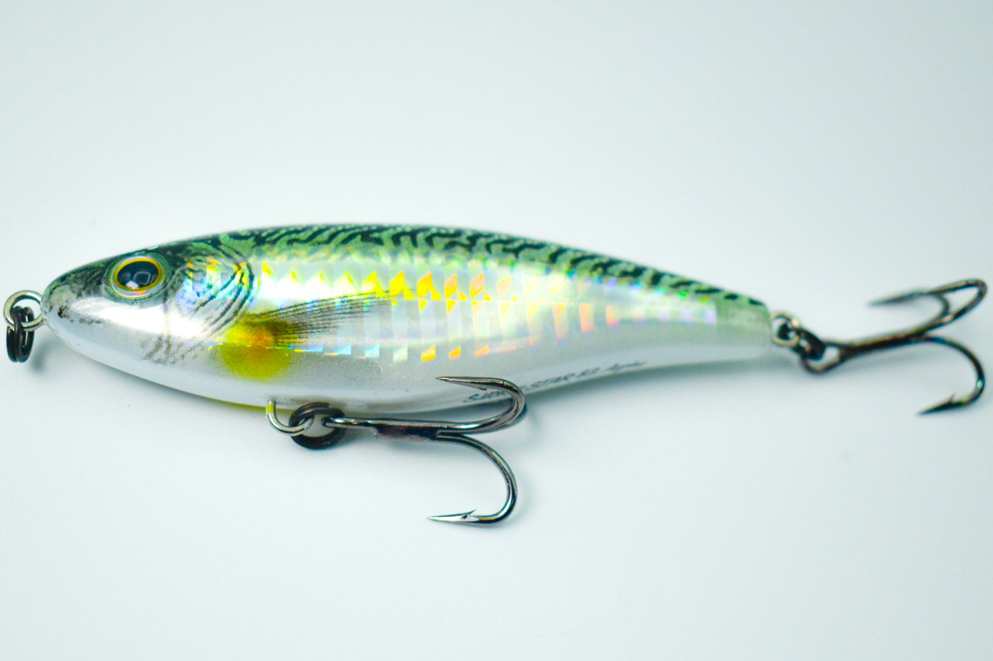SHORE STAR 82 Aspius