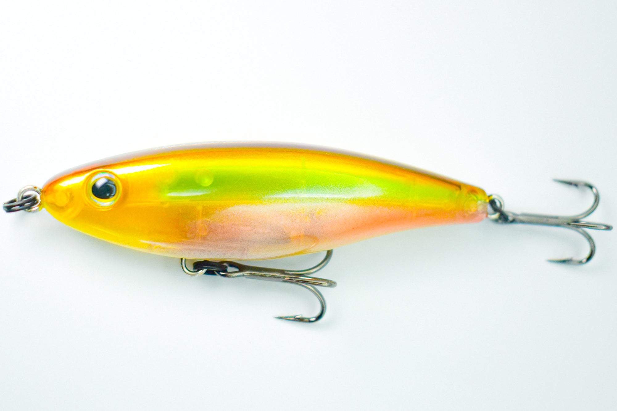 SHORE STAR 82 Aspius