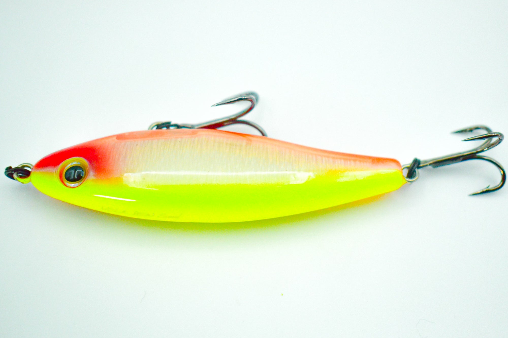 SHORE STAR 82 Aspius