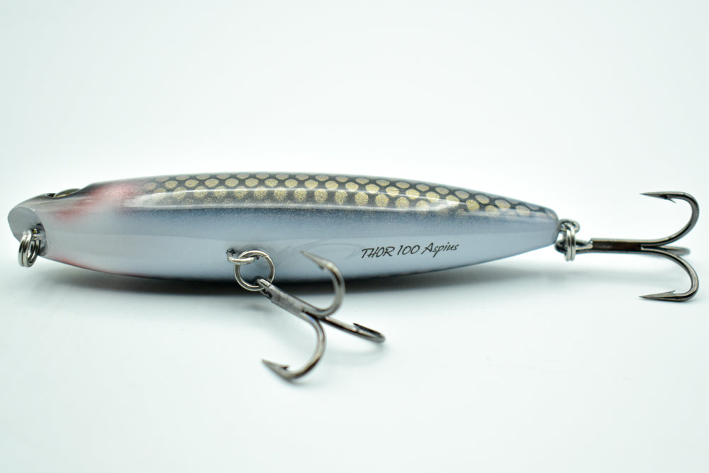 THOR 100 Aspius