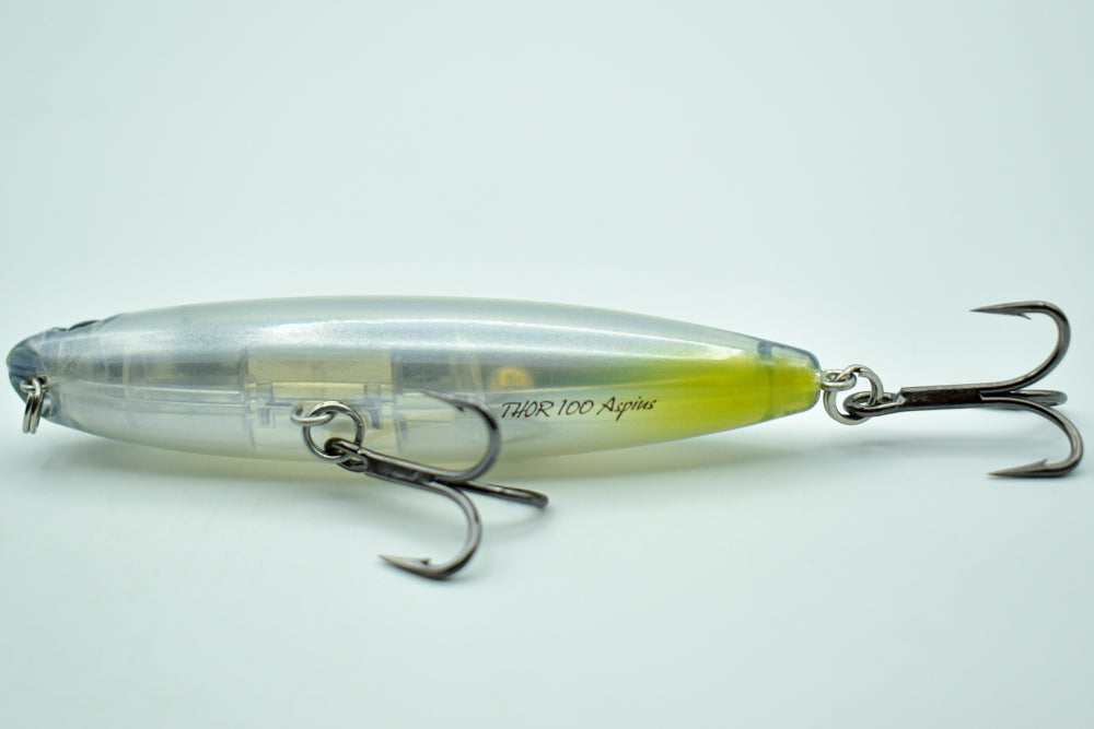 THOR 100 Aspius