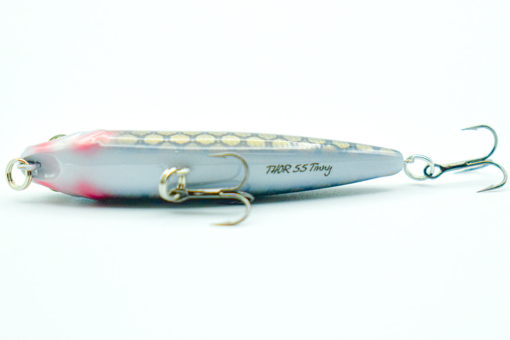 THOR 55 Tinny