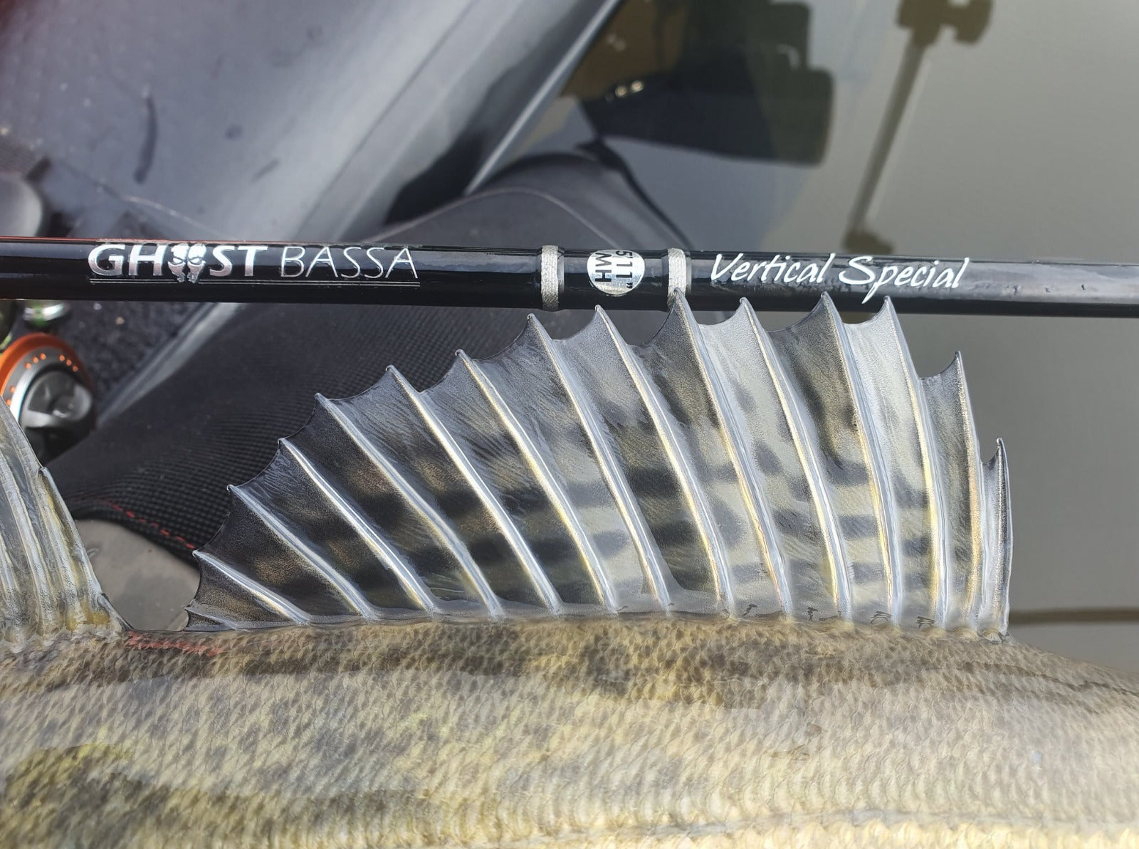 GHOST BASSA Specialist