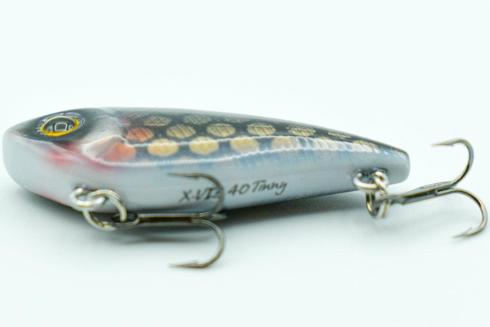 X-VIB 40 Tinny